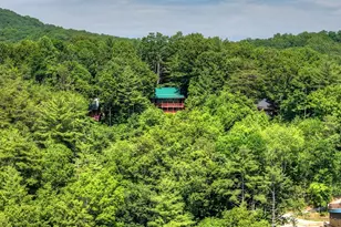 277 Hickory Nut Trail, Cherry Log, GA 30522 - Photo 47