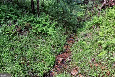 230 Rushing Water Drive, Blairsville, GA 30512 - Photo 21