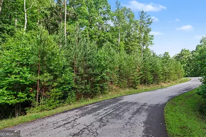 230 Rushing Water Drive, Blairsville, GA 30512 - Photo 17