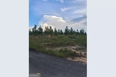 0 Abbeville Highway, Eastman, GA 31023 - Photo 3
