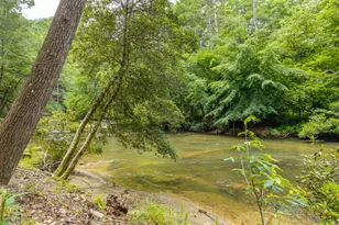 314 Lakeview Ln, Ellijay, GA 30536 - Photo 35