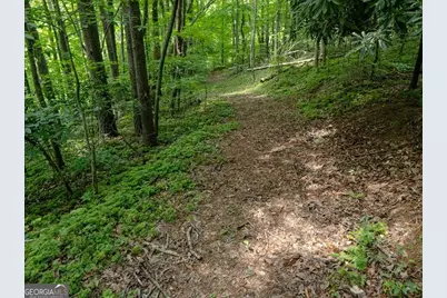 11 Treasure Lane, Blairsville, GA 30512 - Photo 73