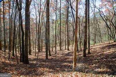 97 Waldrip Road, Dawsonville, GA 30534 - Photo 19