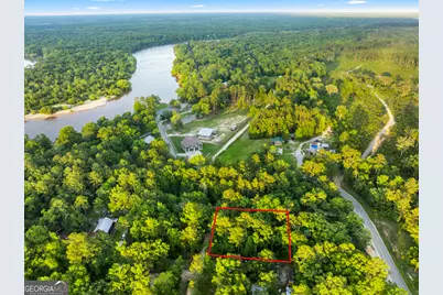 0 River Loop Road, Baxley, GA 31513 - Photo 1