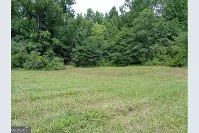 2411 Kesler Road, Carnesville, GA 30521 - Photo 17