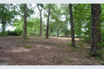 2411 Kesler Road, Carnesville, GA 30521 - Photo 43