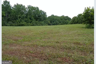 2411 Kesler Road, Carnesville, GA 30521 - Photo 59