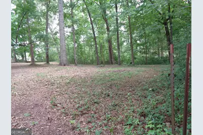 2411 Kesler Road, Carnesville, GA 30521 - Photo 27