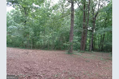 2411 Kesler Road, Carnesville, GA 30521 - Photo 25