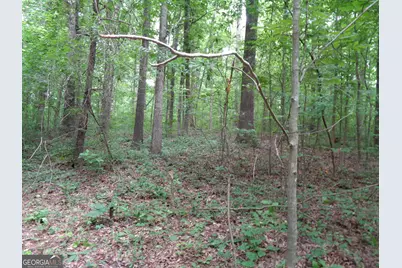 2411 Kesler Road, Carnesville, GA 30521 - Photo 35
