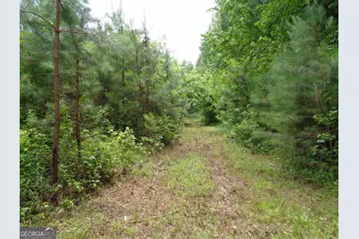 2411 Kesler Road, Carnesville, GA 30521 - Photo 5