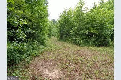 2411 Kesler Road, Carnesville, GA 30521 - Photo 3