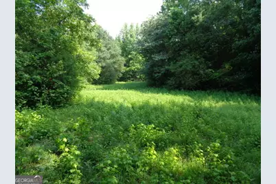 2411 Kesler Road, Carnesville, GA 30521 - Photo 9