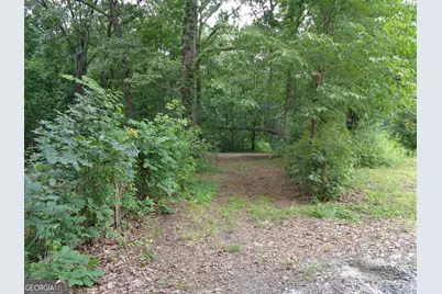 2411 Kesler Road, Carnesville, GA 30521 - Photo 23