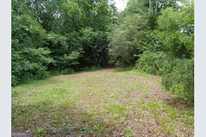 2411 Kesler Road, Carnesville, GA 30521 - Photo 49
