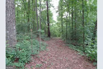 2411 Kesler Road, Carnesville, GA 30521 - Photo 31