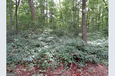 2411 Kesler Road, Carnesville, GA 30521 - Photo 37
