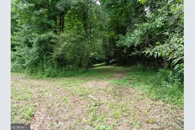 2411 Kesler Road, Carnesville, GA 30521 - Photo 47