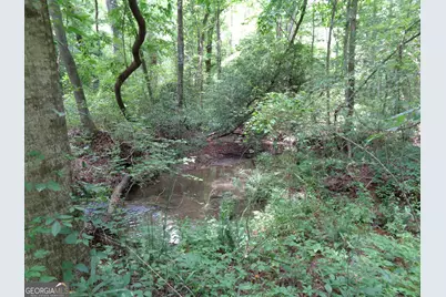 2411 Kesler Road, Carnesville, GA 30521 - Photo 7