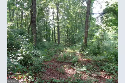 2411 Kesler Road, Carnesville, GA 30521 - Photo 7