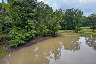 215 Boone Rd, Newnan, GA 30263 - Photo 47