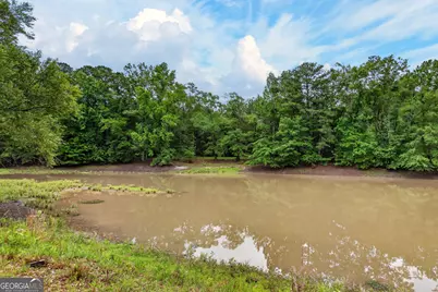 215 Boone Road, Newnan, GA 30263 - Photo 41