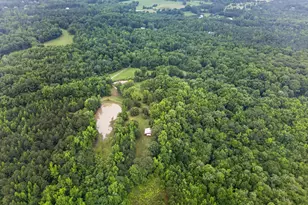 215 Boone Rd, Newnan, GA 30263 - Photo 45