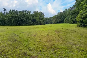 215 Boone Rd, Newnan, GA 30263 - Photo 59