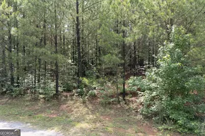 0 Ono Road, Palmetto, GA 30268 - Photo 5