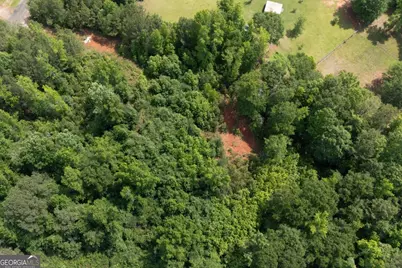 0 Ono Road, Palmetto, GA 30268 - Photo 21