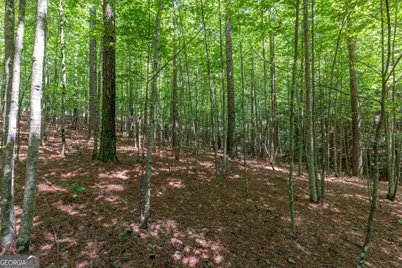 Lot 48 Thirteen Hundred, Blairsville, GA 30512 - Photo 13