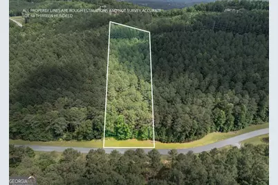 Lot 48 Thirteen Hundred, Blairsville, GA 30512 - Photo 1