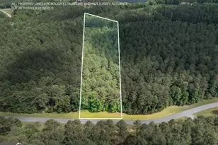 Lot 48 Thirteen Hundred, Blairsville, GA 30512 - Photo 1