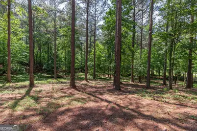 Lot 48 Thirteen Hundred, Blairsville, GA 30512 - Photo 9