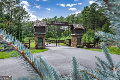 Lot 48 Thirteen Hundred, Blairsville, GA 30512 - Photo 29