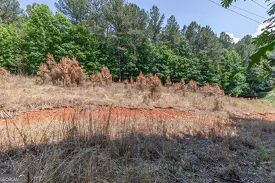 Lot 48 Thirteen Hundred, Blairsville, GA 30512 - Photo 11