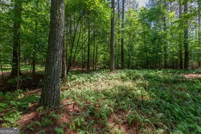 Lot 48 Thirteen Hundred, Blairsville, GA 30512 - Photo 5