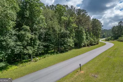 Lot 48 Thirteen Hundred, Blairsville, GA 30512 - Photo 15