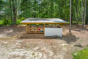 480 Best Bridge Rd, Sylvania, GA 30467 - Photo 53