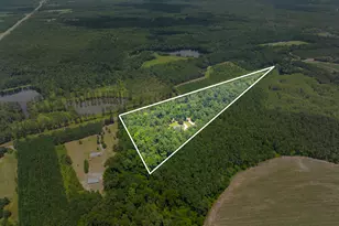 480 Best Bridge Rd, Sylvania, GA 30467 - Photo 3