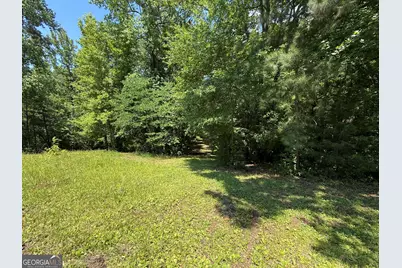 0 River Run Drive, Hogansville, GA 30230 - Photo 7