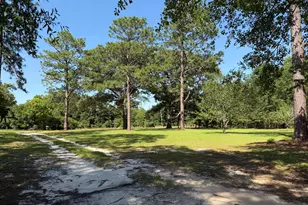 257 Lonnie Burke Rd, Portal, GA 30450 - Photo 19