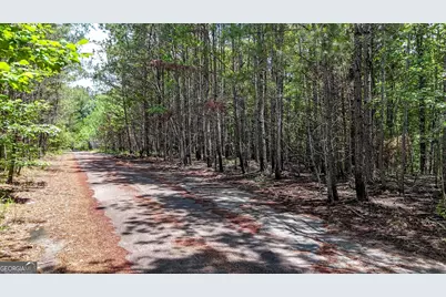 47 Lot #LOT 47, Rockmart, GA 30153 - Photo 3