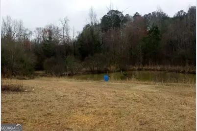 0 Old Woodbury Highway, Woodbury, GA 30293 - Photo 1