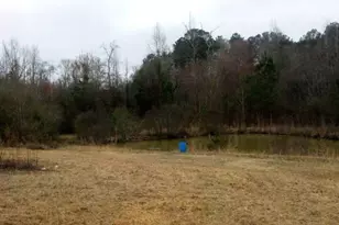0 Old Woodbury Hwy, Woodbury, GA 30293 - Photo 1