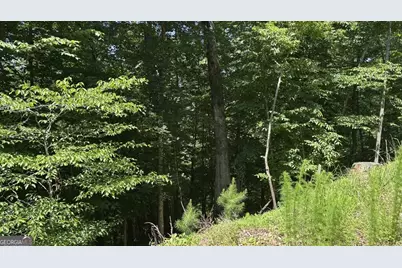 Lot 780 Omen Circle, Ellijay, GA 30540 - Photo 5
