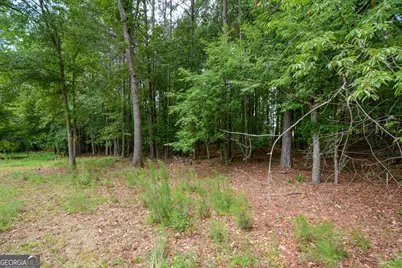 819 N Bethany Road, McDonough, GA 30252 - Photo 31