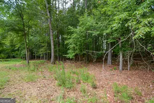 819 N Bethany Rd, McDonough, GA 30252 - Photo 31