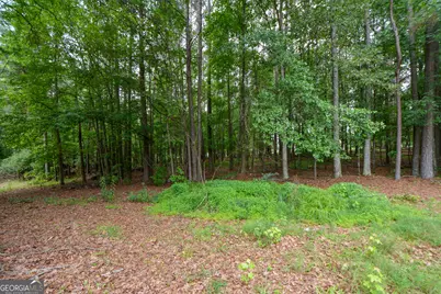819 N Bethany Road, McDonough, GA 30252 - Photo 29