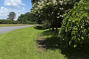 2169 Silver Hill Rd, Summerville, GA 30747 - Photo 3
